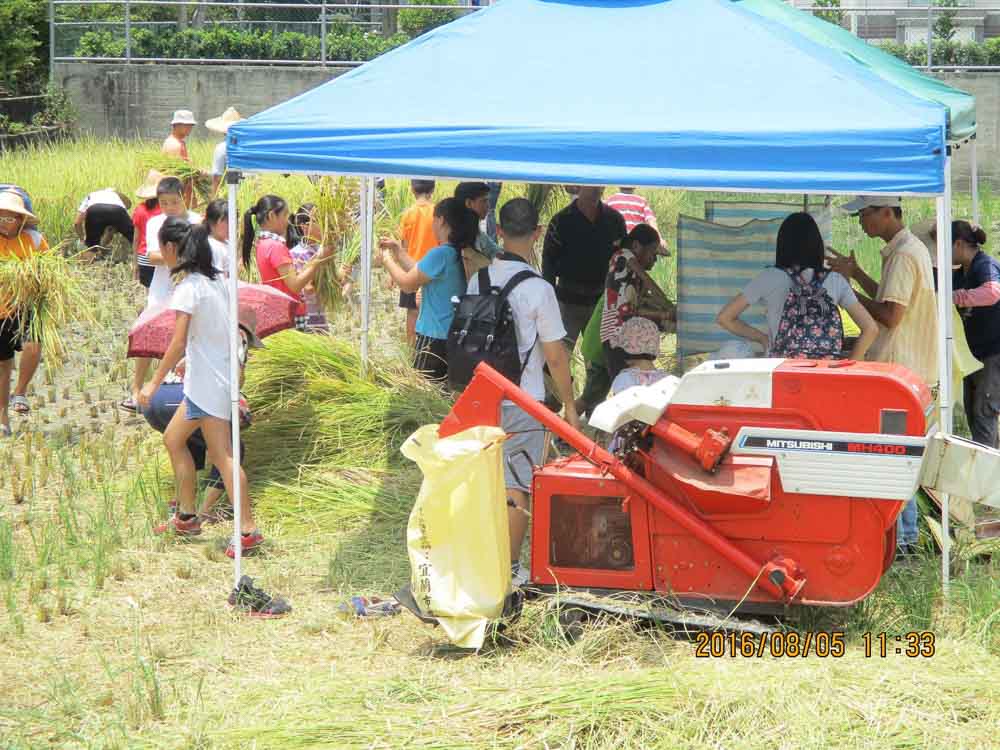 合群農莊民宿的民宿照片